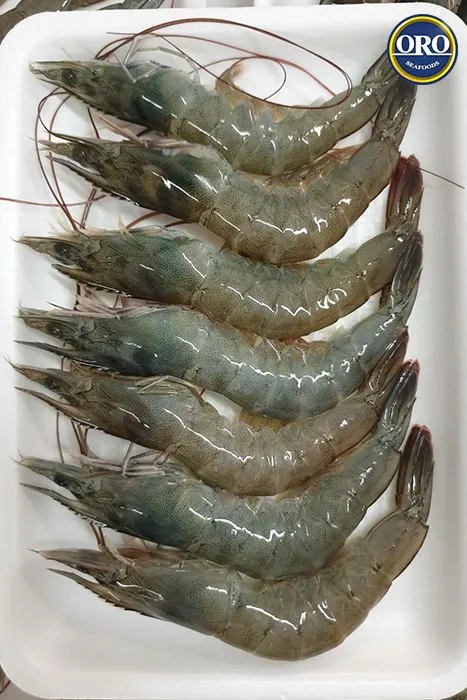 ກຸ້ງ
